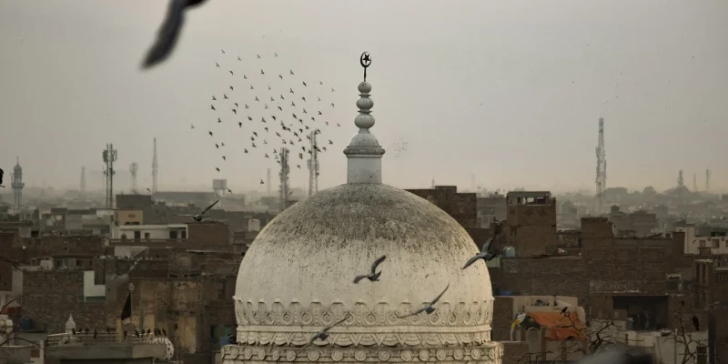 birds-5407779_1280